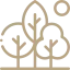 RECONNECTION NATURE